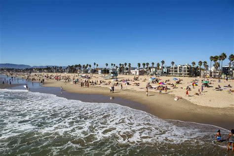 Best Things To Do In Venice California