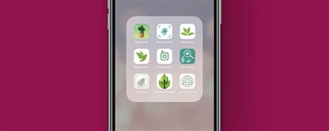 Remember the classic wood info and identification books on your shelf? 7 Best Plant Identification Apps for Your Home, Garden ...