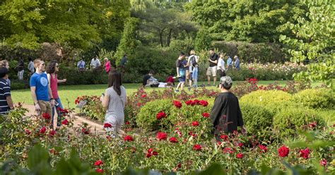 Chicago Botanic Garden To Charge Admission For The First Time Cbs Chicago