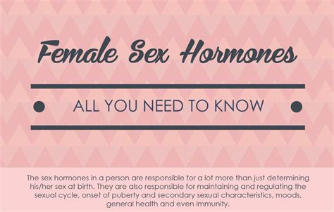 What You Need To Know About Female Sex Hormones My Xxx Hot Girl