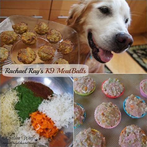 Homemade diabetic dog treat recipe. Barkday Meal Treat: Rachael Ray's K9 MeatBalls | Dog food ...