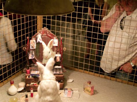 Fda continues to monitor research on hair dye safety. Animal Cosmetic testing | Jon Rogers | Flickr