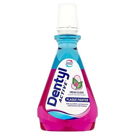 buy dentyl refreshing clove mouthwash 500ml by dentyl ph online at desertcartuae