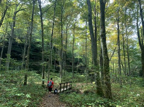 The Call of the Wild: Helping Protect Southern Illinois’ Natural