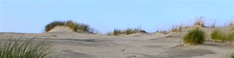 The curonian spit is a narrow sand dune peninsula, preserved from erosion through human efforts since the 19th century. Curonian Spit - Wikitravel