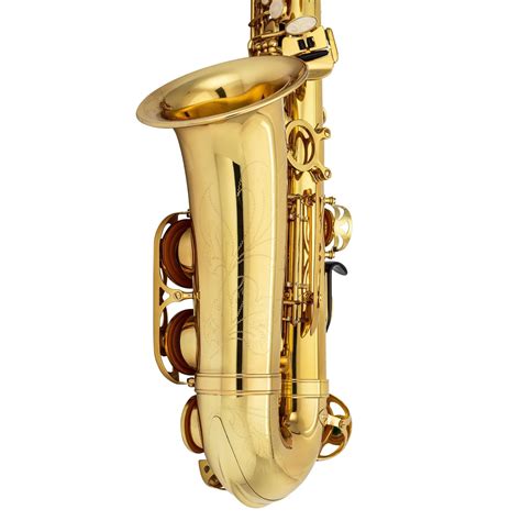 Jean Paul Usa As 400 Student Alto Saxophone Buy Online In United Arab