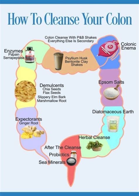 What You Need To Know About Colon Cleansing Coloncleaning101 Thenaturalcoloncleanse Herbal