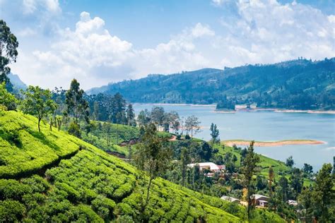 Order medicine online & get it delivered to your doorstep. Sri Lanka bolsters efforts to attract international ...