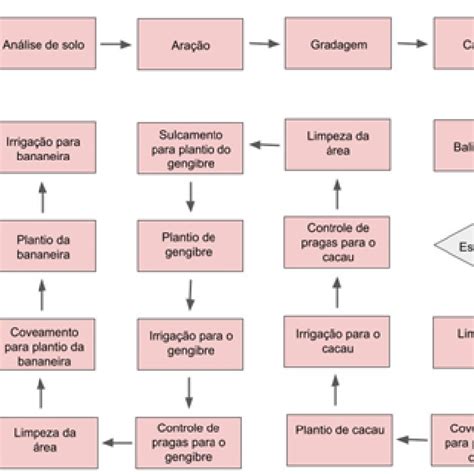 FLUXOGRAMA DE ATIVIDADES DA AGF Download Scientific Diagram