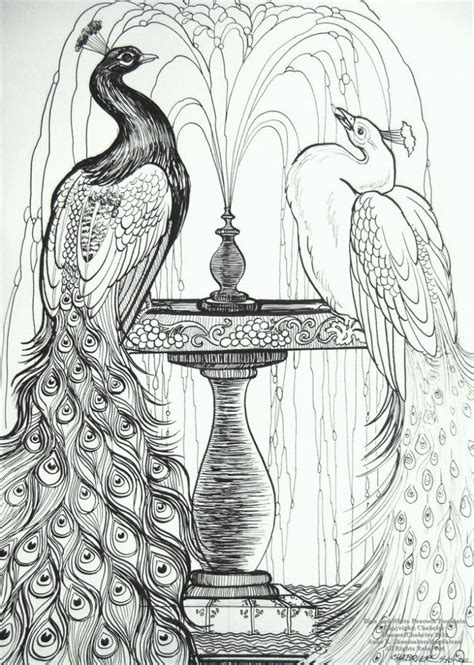 beautiful peacocks coloring pages coloring pages