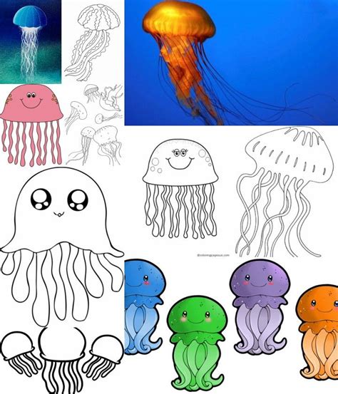 Printable Jellyfish Coloring Pages Ocean Life Creatures Coloring Pages