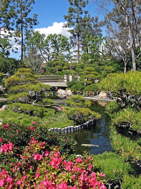 California state parks offers several types of passes including the annual day use pass, the disabled discount pass, and the golden bear pass. Earl Burns Miller Japanese Garden in Long Beach | OC Stock ...