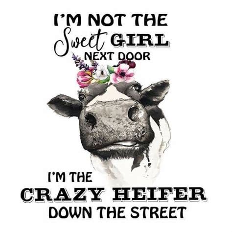 Pin By Dodi Rosanske On Water Color Funny Quotes Heifer Funny