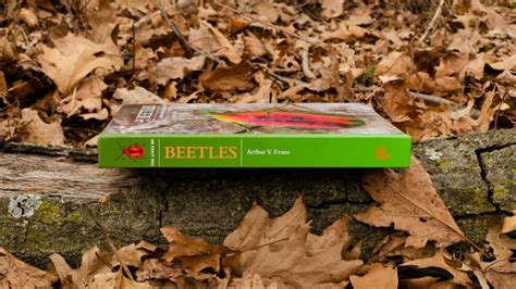 the lives of beetles princeton university press
