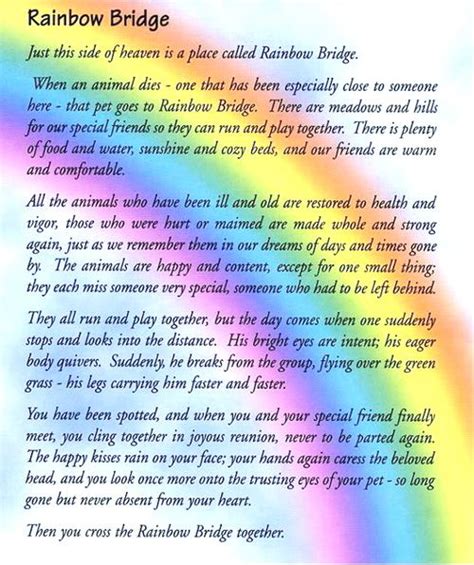 When an animal dies that has been especially close to someone here. 26 best images about Rainbow Bridge on Pinterest | Rainbow bridge poem, Cats and Sympathy poems