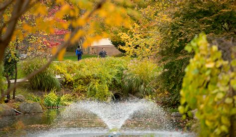Second Annual Shp Fall Foliage Photo Contest Events New York Tech