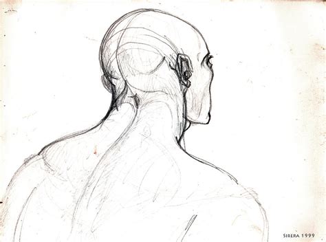 Head Back View Drawing By Miquel Sirera Fine Art America