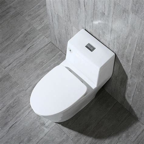 Woodbridge Dual Flush Elongated One Piece Toilet