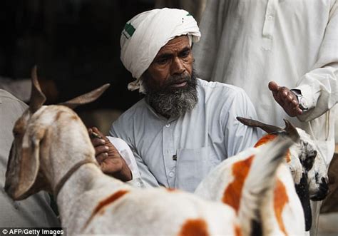 Need A Sacrificial Goat For Eid Pakistan Has The App Daily Mail Online