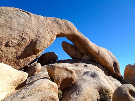 Arch Rock Hike Best Things To Do Joshua Tree Np Active Tours