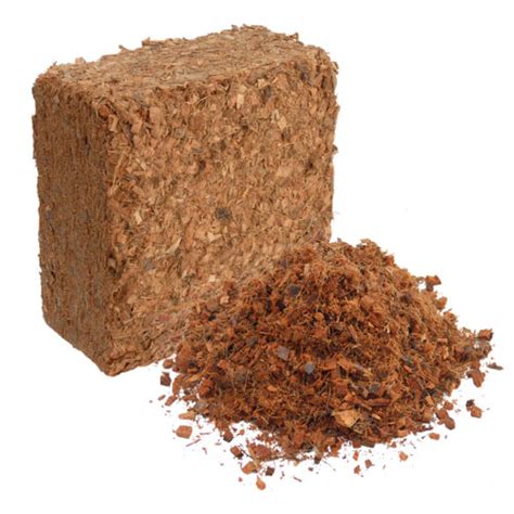 And then covered with the premium quality fabric. Coir Fiber; an Organic and Renewable Media - Garden ...
