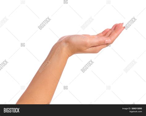 Female Empty Hand Image And Photo Free Trial Bigstock