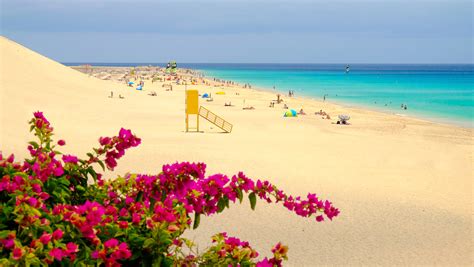 Jandia Fuerteventuras Sandy Paradise