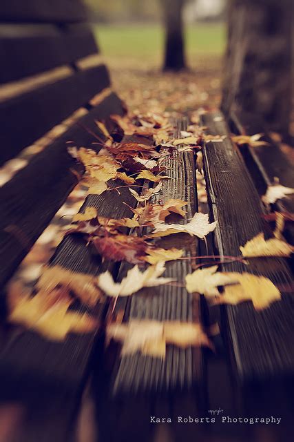 Fall Photography Inspiration Click Community Blog Helping You Take