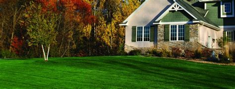 State standard pest control is a trusted exterminator serving the lexington, ky and lawrenceburg, ky area. Tree and Shrub Care Lexington, KY | Lawn Care Service ...