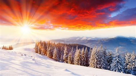 Forest Snow Mountains Sunrise Trees Sky Winter Coolwallpapersme