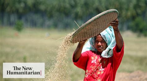 The New Humanitarian Fear Of Shortages As Rice Prices Keep Rising
