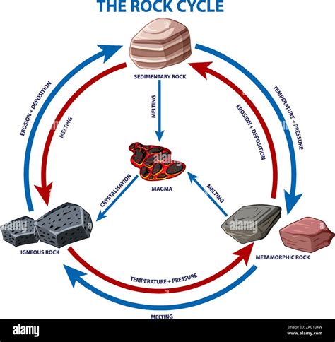 Diagrama que muestra la ilustración del ciclo de la roca Imagen Vector de stock Alamy