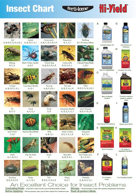 Quick Reference Bug Insect Chart