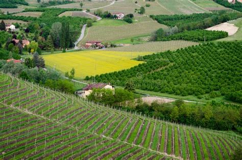 Langhe Hilly Wine Region In Piedmont Italy Stock Image Image Of