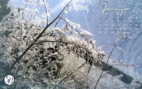 Free Download January Wallpaper S 14 1024x640 For Your Desktop