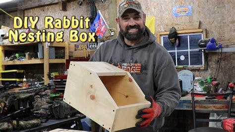 Diy Rabbit Nesting Box Cheap And Easy Youtube