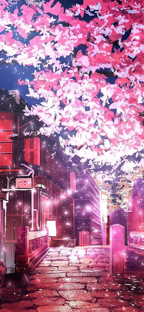 Sakura Wallpaper Tree Wallpaper Iphone Cherry Blossom Wallpaper Pink
