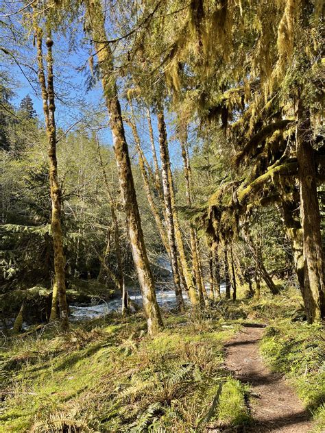 Enchanted Valley Via East Fork Quinault River — Washington Trails