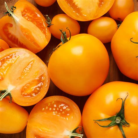 Amish Gold Tomato Solanum Lycopersicum Indeterminate Annies