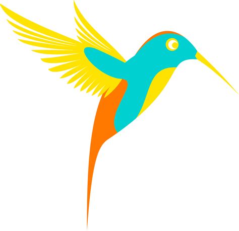 Colibri Colorful Bird Vector Clipart Image Free Stock Photo Public