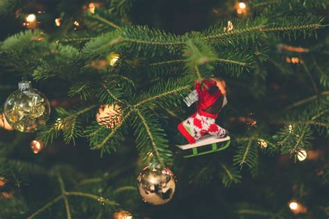 무료 이미지 크리스마스 장식 녹색 크리스마스 트리 가문비 Holiday Ornament 전나무 크리스마스 이브