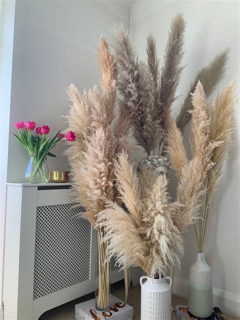 Tall Fluffy Pampas Grass For Home Office And Weeding Decor Etsy