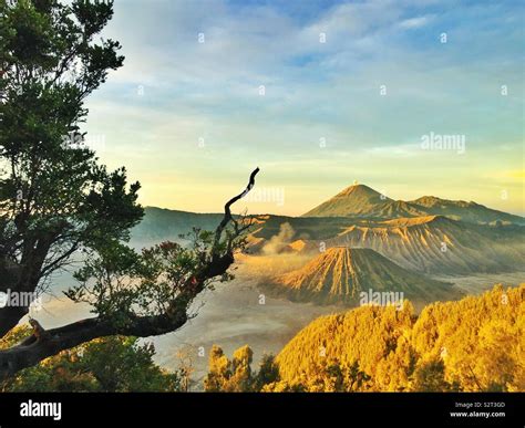 Mount Bromo Sunrise Panorama Stock Photo Alamy
