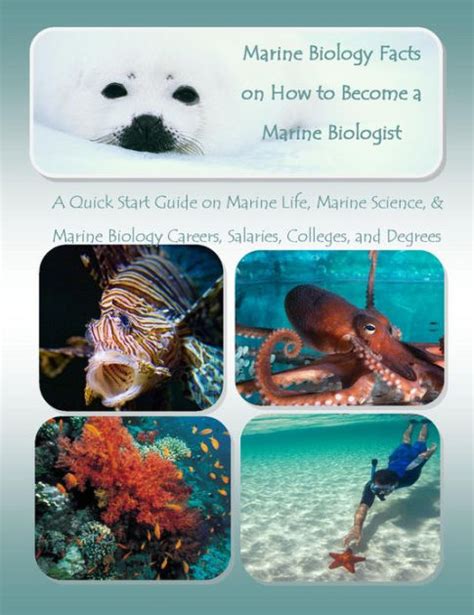 How To Be A Marine Biologist Learn About Marine Biology Careers