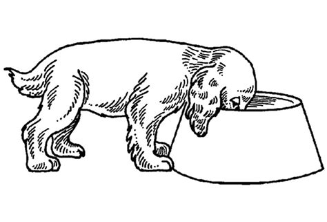 #ausmalbilder | #malvorlagen | #hunde | #ausmalbilderhunde | #kindergarten | #coloring | #. Ausmalbilder Hunde 7 | Ausmalbilder