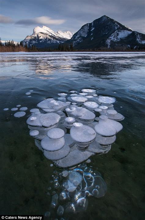 Icy Jellyfish No These Strange Phenomena Are Frozen Methane Bubbles