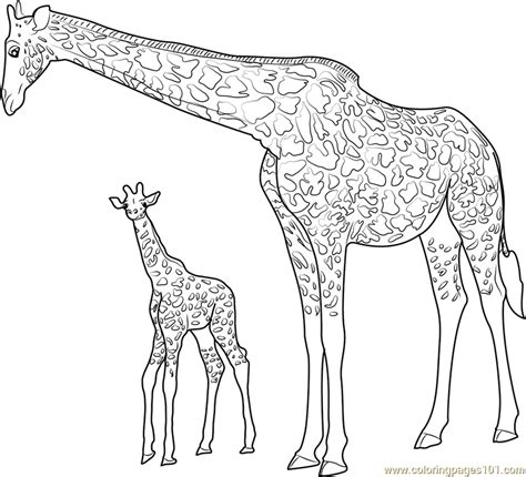 Giraffe With Baby Coloring Page Free Giraffe Coloring Pages