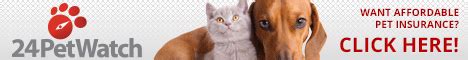 Filing a pet insurance claim is quick and easy. It Takes A Village! | SA R.O.C.K.S.
