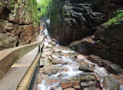 These 5 New Hampshire Hikes Are Easy But Rewarding