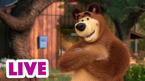 🔴 Live Stream 🎬 Masha And The Bear 🐻🤣 Interview With The Bear 🎤🐻 Youtube